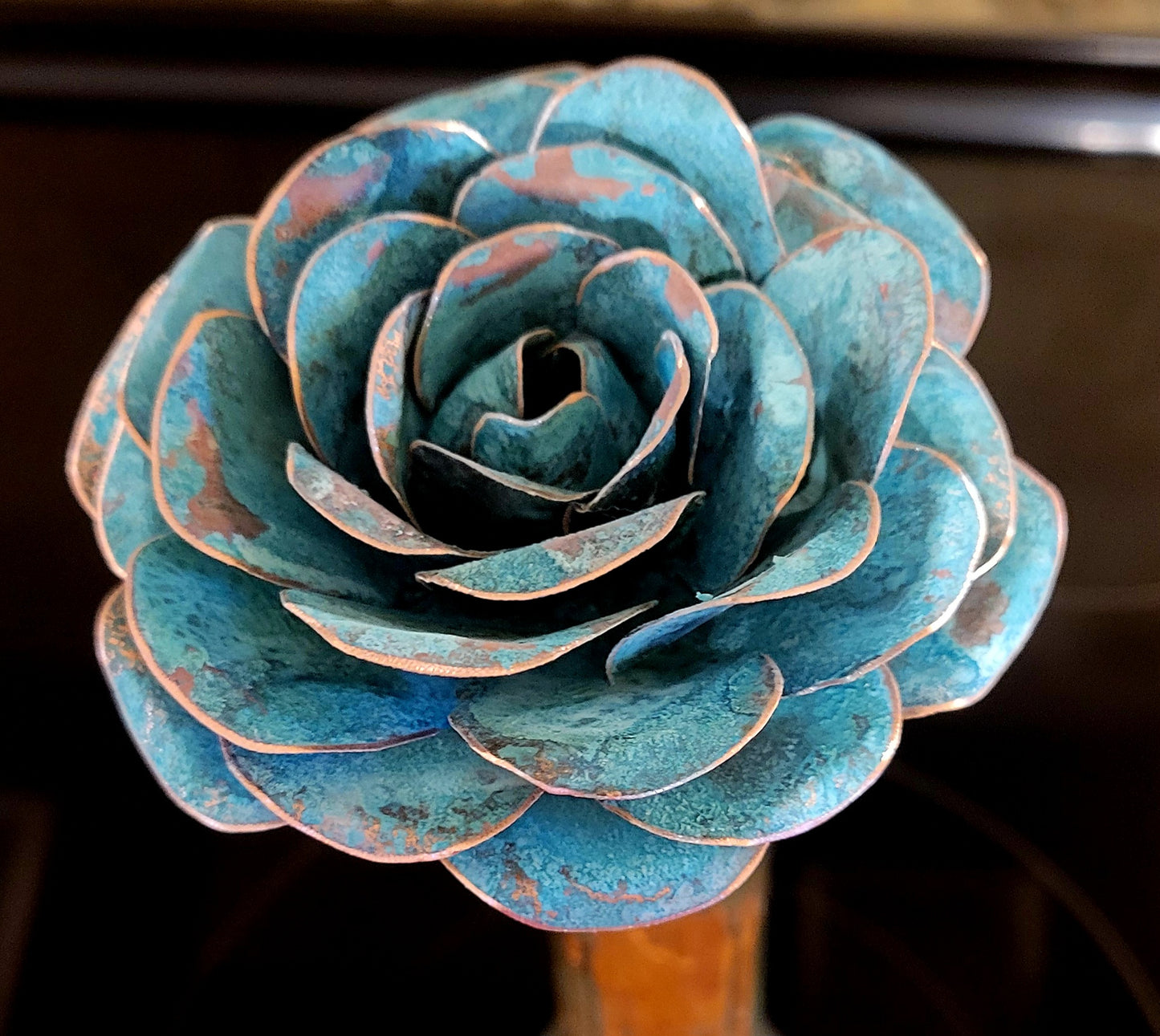 Special Unique Copper Rose