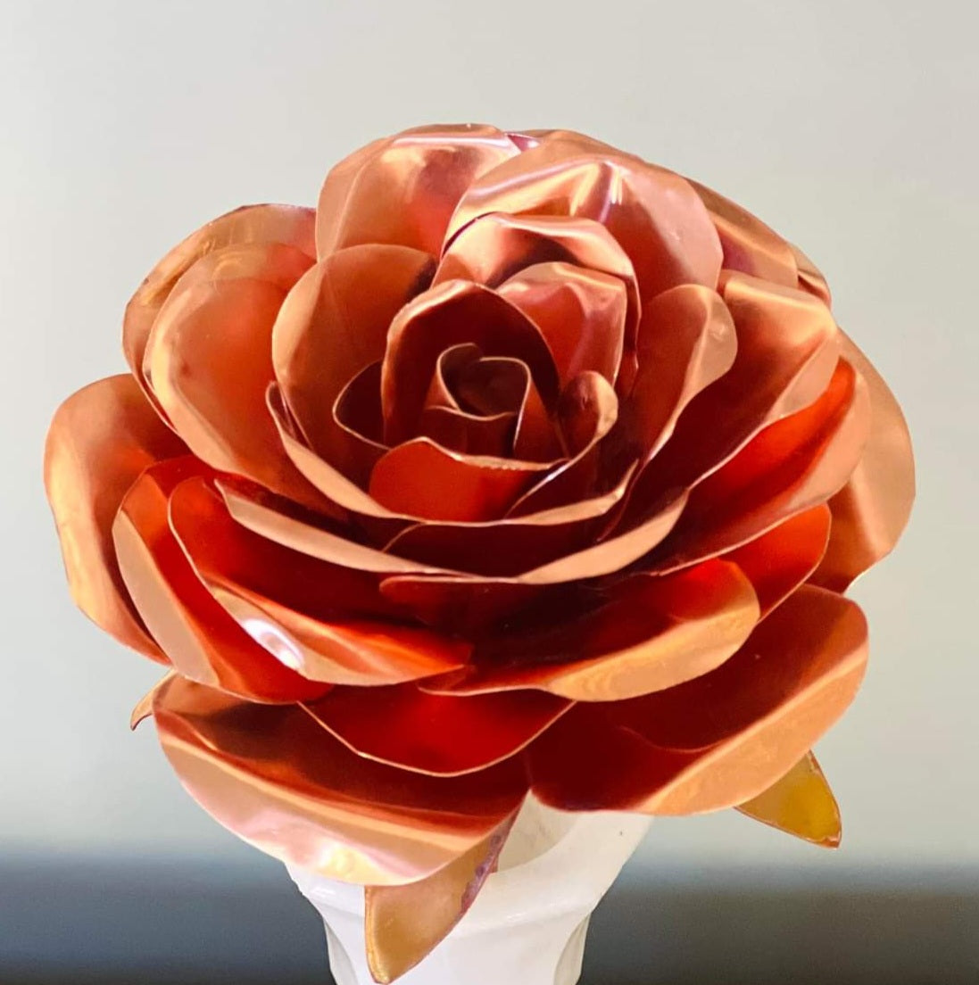 Special Unique Copper Rose